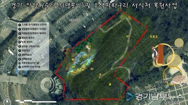 안양시, 병목안시민공원 맹꽁이・오색딱따구리 서식처 복원…국비 4.4억 확보