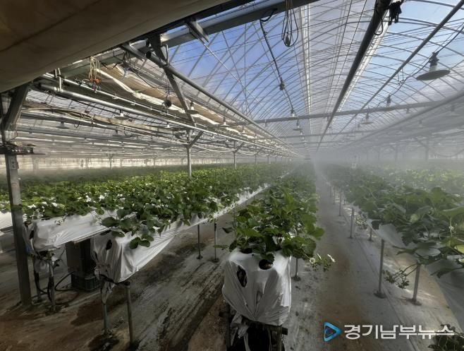 광주시, 선택형 맞춤 농정사업 추진…명품 농산물 육성 본격화