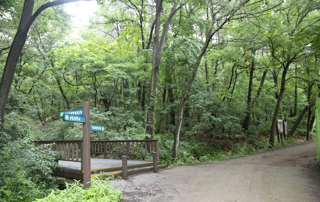 수원시환경성질환아토피센터 후문으로 이어지는 자연 휴양림