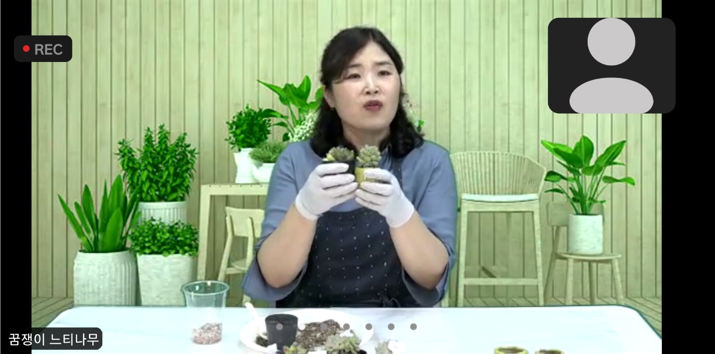 다육이 화분 만들기, 실버활동 육성과 전문성을 높이는 ‘어르신 즐김터’