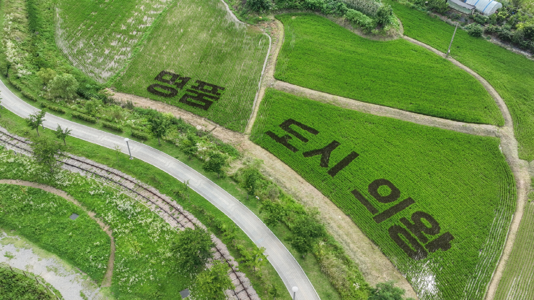 '명품 도시 의왕' 글자와 주변이 다 보이는 초평동 사진