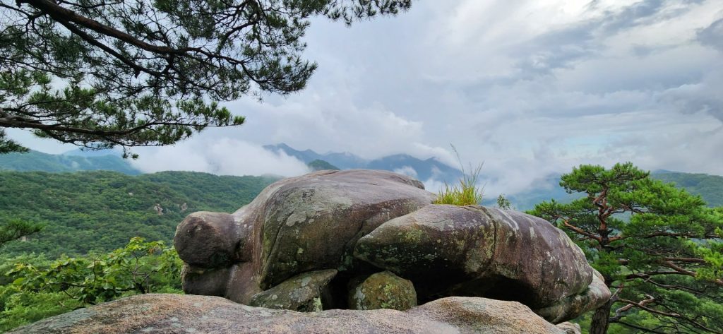 천태산을 오르다 보니 거북을 닮은 바위가 참 신기하다. 사진: 배건일, 경기남부뉴스