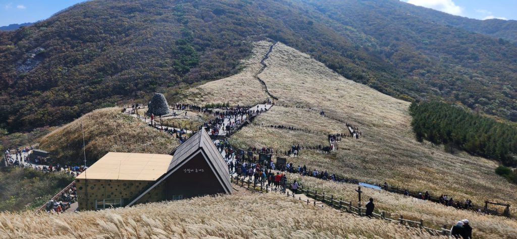 영남알프스 하늘억새길종주 사진: 배건일, 경기남부뉴스
