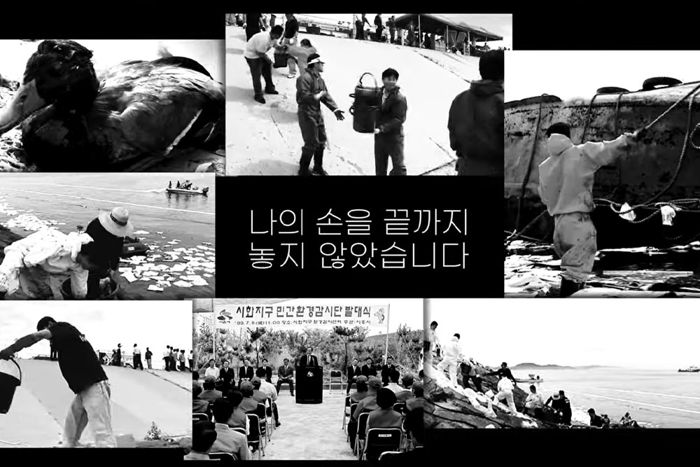 환경오염을 이겨낸 기적의 바다호수, 시화호가 30주년을 맞았다. 시흥시가 제작한 특별영상 '빛나는 청춘, 94년생 시화호(Feat. 30주년 기념)'의 한 장면