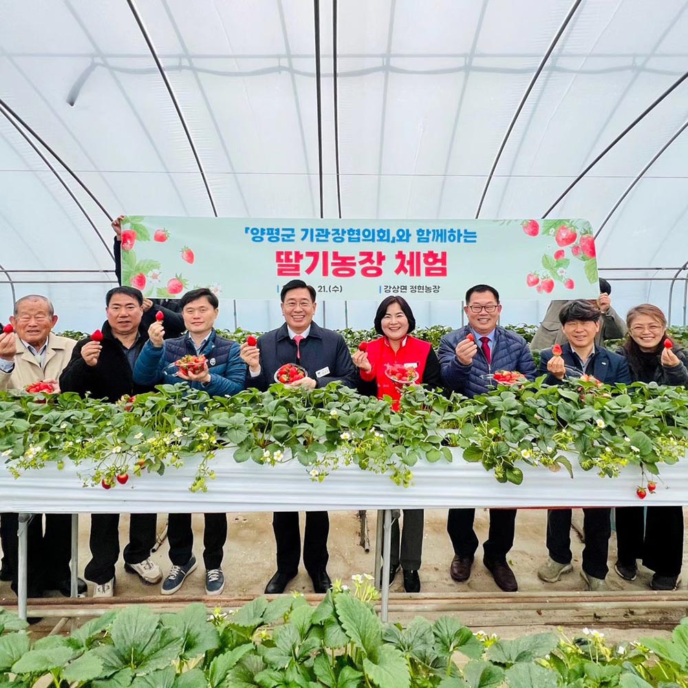 양평군기관단체협의회와 딸기 농가 방문(2.21)