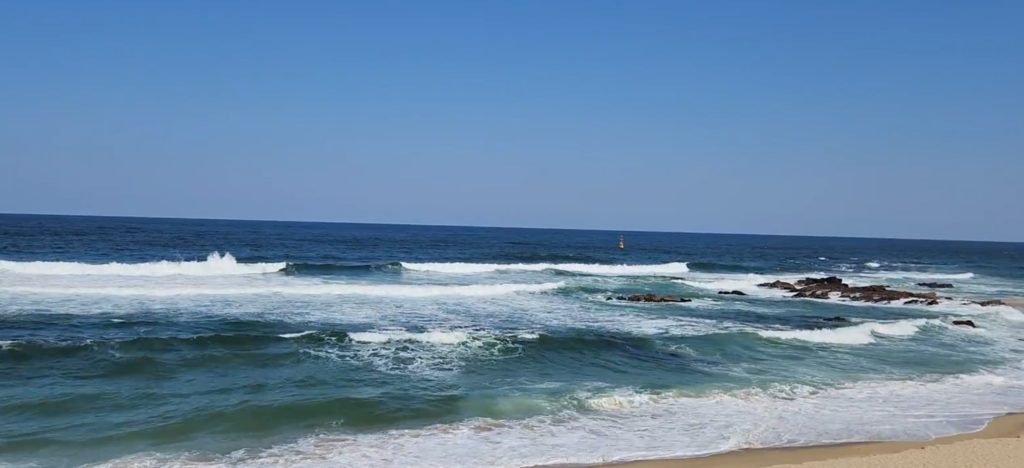 정동진 앞바다 사진: 배건일, 경기남부뉴스