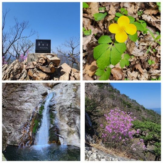 춘천 삼악산에 찾아온 봄의 정취 사진: 배건일, 경기남부뉴스