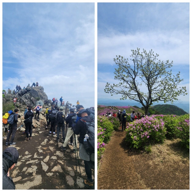 황매산 정상과 철죽군락지 사진: 배건일, 경기남부뉴스