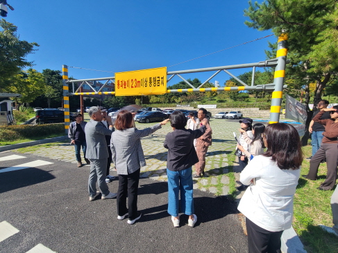 정조효문화제 로드체킹