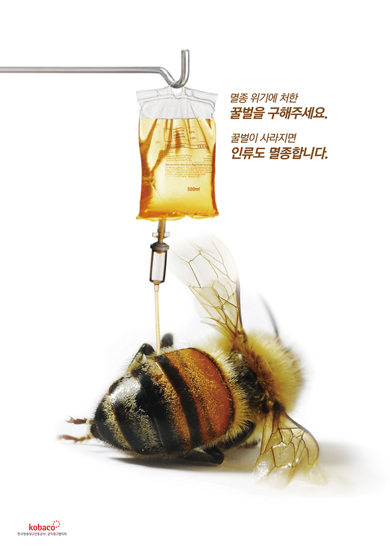 김영일 작가의 '링거 벌꿀'.