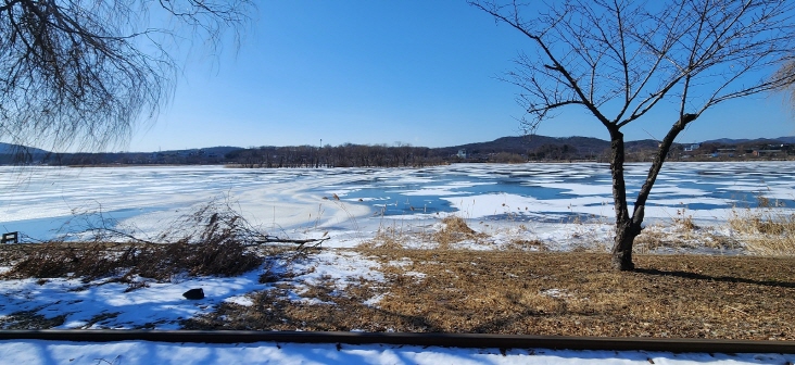 추위에 얼어버린 왕송호수 모습 사진: 배건일, 경기남부뉴스
