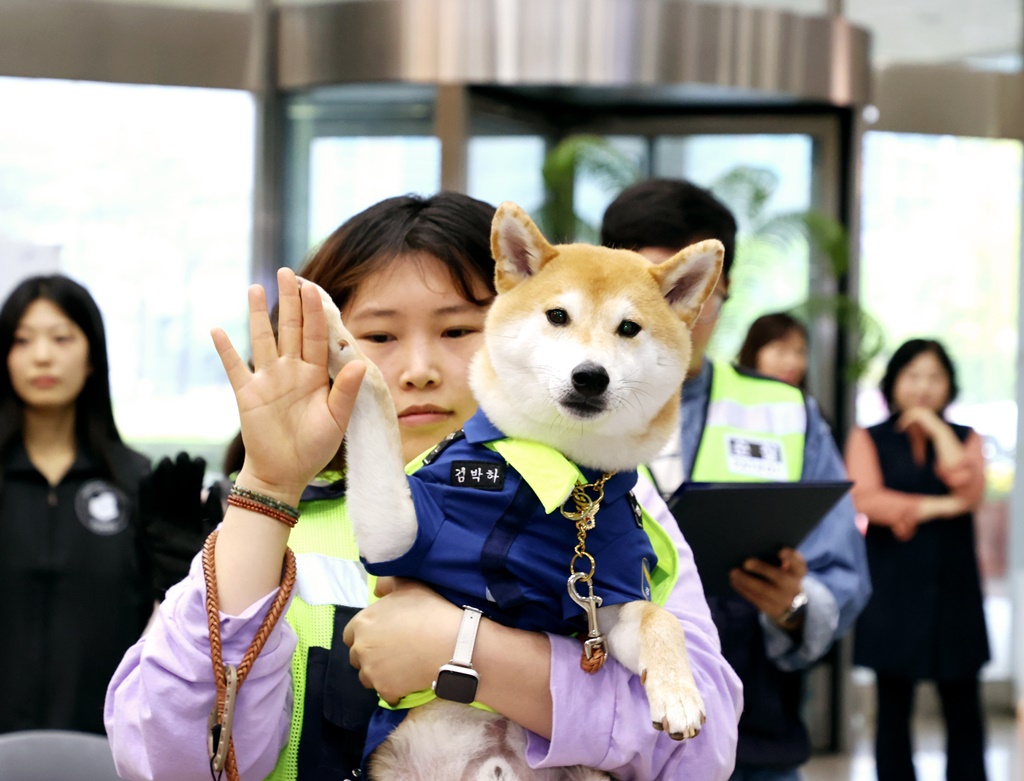 1일 오전 11시 안양시층 1층 로비에서 '양반견' 소속 반려견 박하와 견주가 선서를 하고 있다.