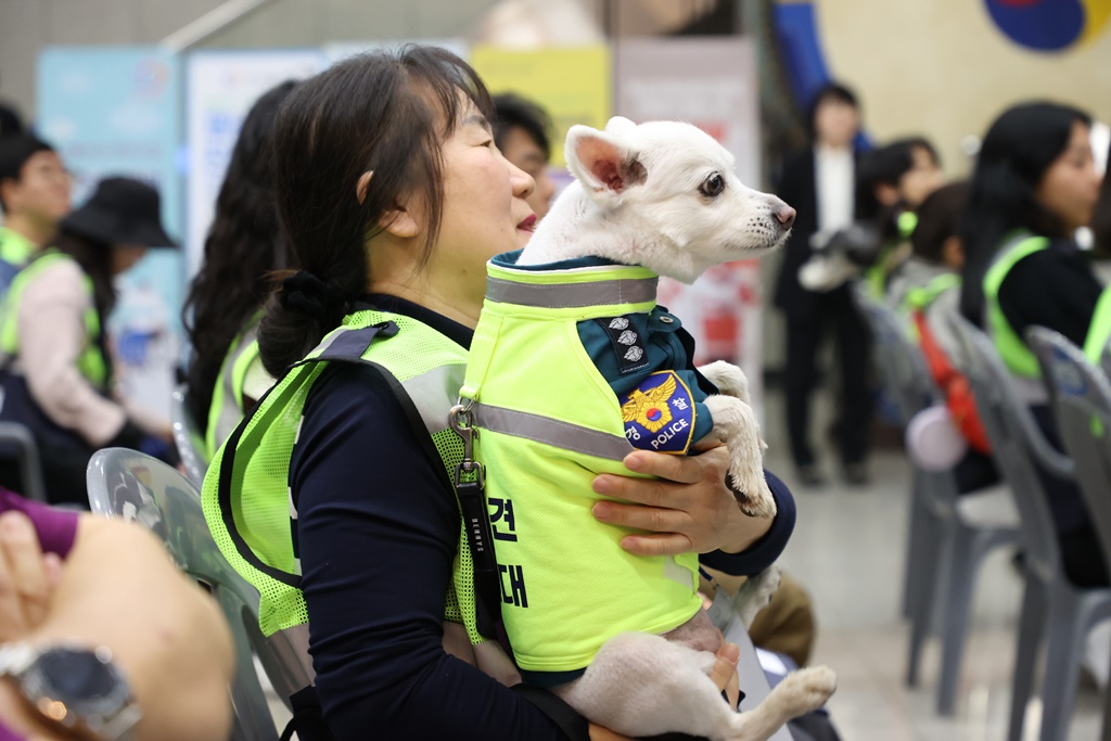 안양시 반려견 순찰대 '양반견'에 선발된 한 반려견과 견주가 1일 오전 11시경 첫 순찰을 앞두고 안양시층 1층 로비에서 대기하고 있다.
