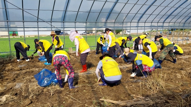 수원시자원봉사센터와 새빛봉사단, 권선여성의용소방대, 수원시여성리더회, 삼일공고 학생 등 107명이 가평군 상면 항사리 피해 농가 에서 35도가 넘는 현장에서 복구 활동을 하고 있다.