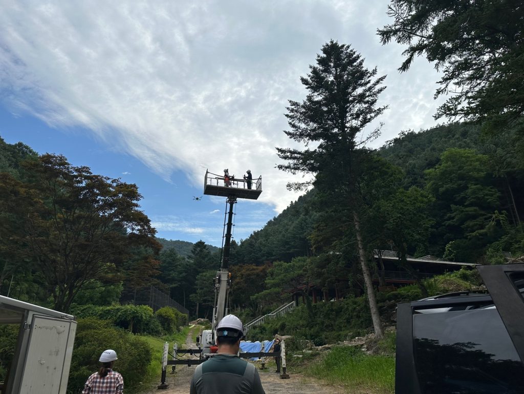 여름철 소나무재선충병 확산 방지